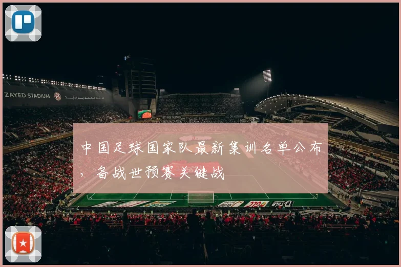 中国足球国家队最新集训名单公布，备战世预赛关键战