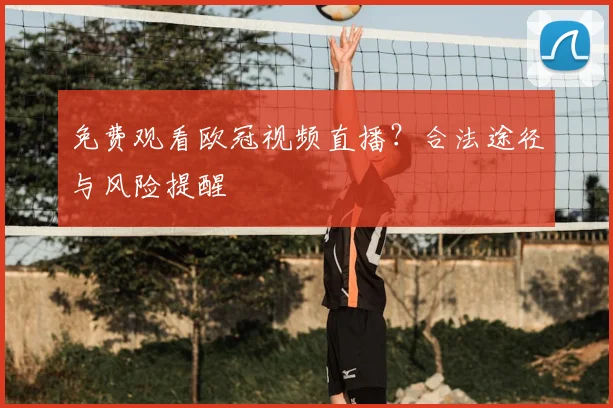 免费观看欧冠视频直播？合法途径与风险提醒